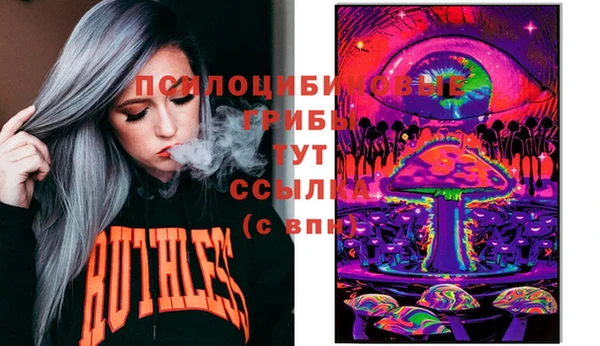 гидропоника Алзамай