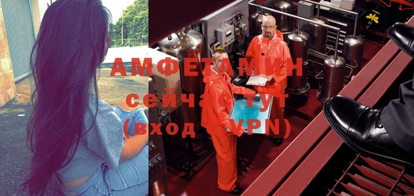 гидра Алексин