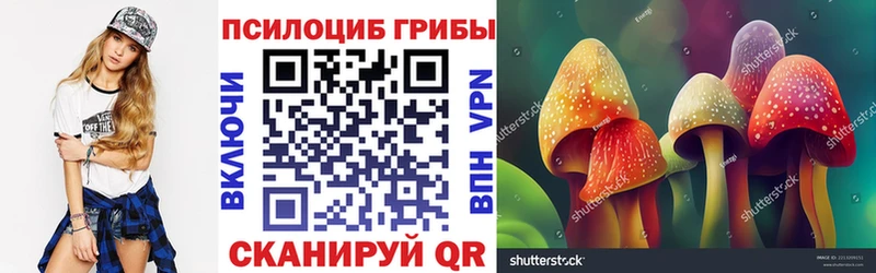 kraken вход  Жирновск  Псилоцибиновые грибы мицелий 